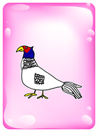 Faithful Pheasant
