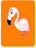Forthright Flamingo