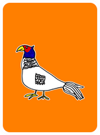 Faithful Pheasant