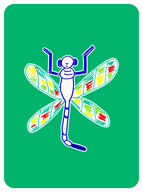 Dedicated Dragonfly