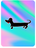Dapper Dachshund