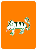 Charismatic Chameleon
