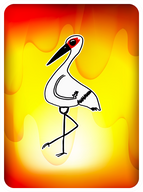 Curious Crane