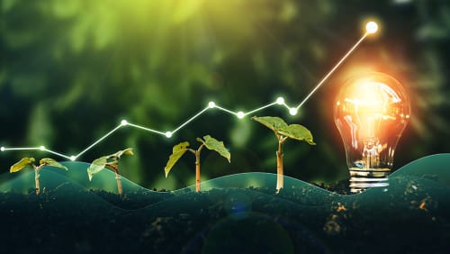 Sustentabilidad, el Nuevo Valor de las Empresas