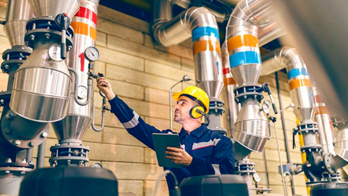 Energía de la Biomasa: Operación, Mantenimiento de Calderas y Cogeneración