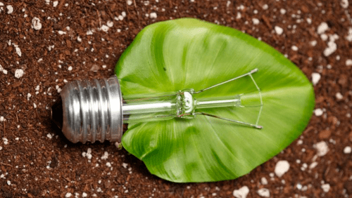 Ingeniería de Biomasa para la Generación de Energía