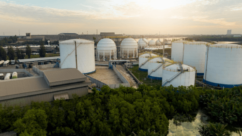 Biocombustibles en México: Técnica, Mercado y Estrategia 