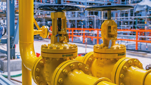 Gas Natural Renovable