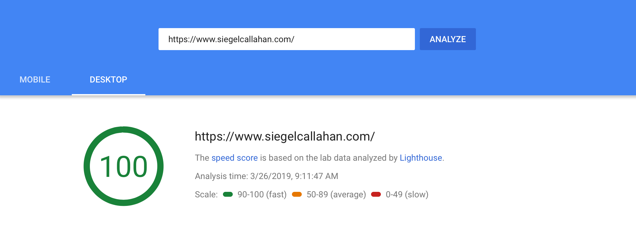 Screenshot of Google PageSpeed Insights