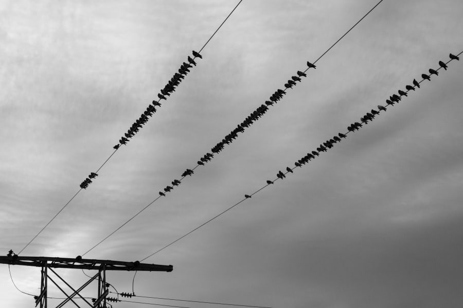 Prepare a website content migration strategy: six steps and three free tools for success