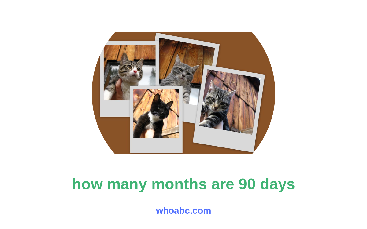 Cracking the Calendar Code: Revealing the Mystery of How Many Months Equal 90 Days image