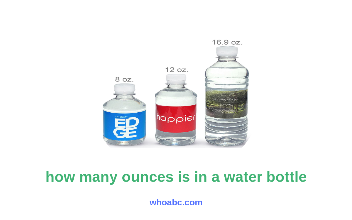 Water Bottle Size Guide: Discover the Ideal Ounces for Hydration image 