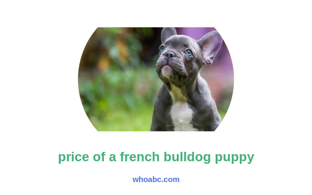 Unveiling the Fetching Price of a French Bulldog Puppy image