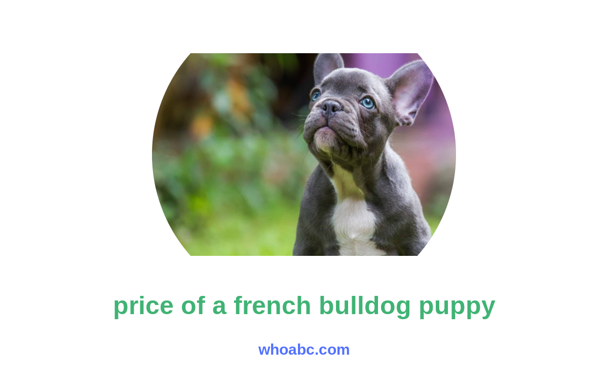 Unveiling the Fetching Price of a French Bulldog Puppy image 