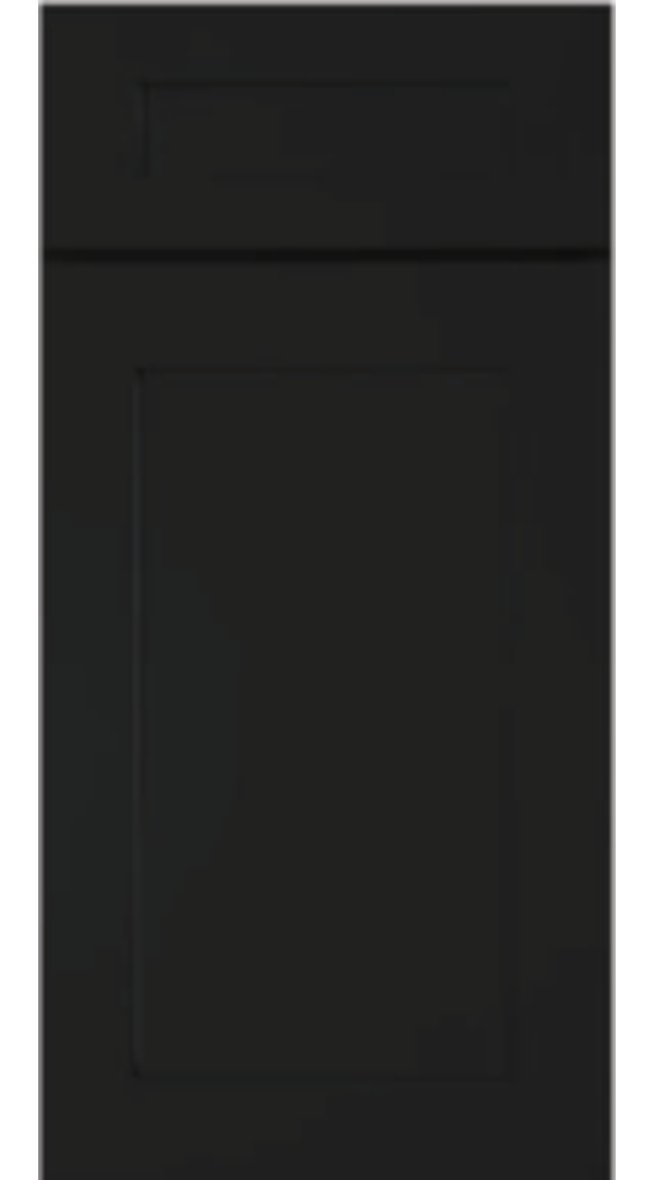 Shaker Black sample door