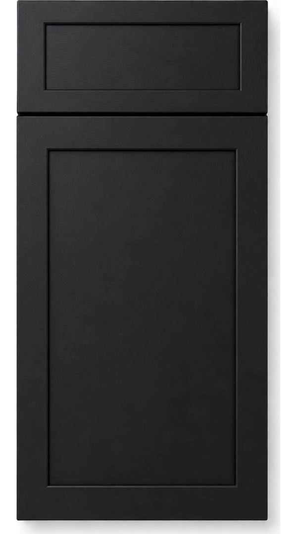 Skinny Shaker Black sample door