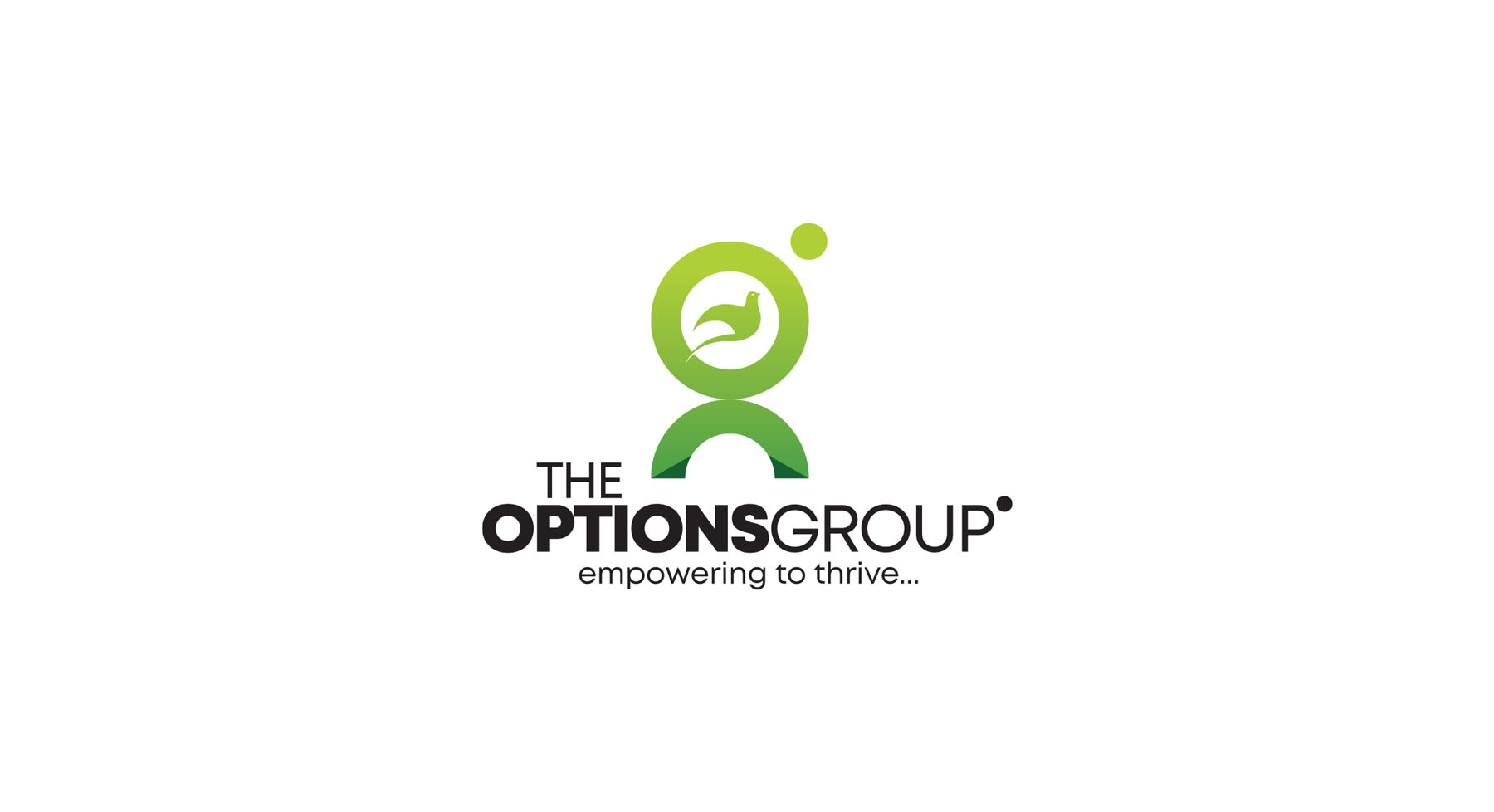 options-group-logo-var