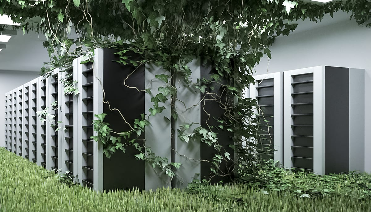 Data centre covered with grass and leaves.