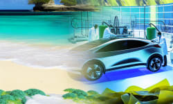Transforming Seaweed Nuisance into Renewable Biofuel: A Caribbean Innovation