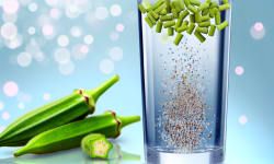 Natural Solution: Okra and Fenugreek Extracts Effectively Eliminate Microplastics from Water