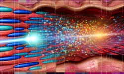 Revolutionizing Deep Tissue Imaging: Ultra-Fast Wavefront Shaping with Optical Gradient Acquisition