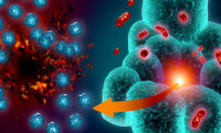 Scientists Unveil Method to Strip Bowel Cancer's 'Sugar Shield,' Reactivating Immune Response