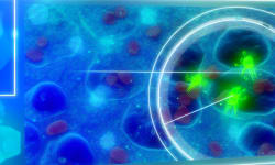 Revolutionizing Body Fluid Diagnostics with Activatable Optical Probes