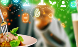 Savor: Revolutionizing Sustainable Fats for Flavorful, Eco-Friendly Cuisine