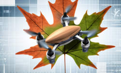 Innovative One-Motor Drone Achieves Stability by Mimicking Maple Seed Flight
