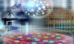 Revolutionary AI-Driven Digital Colony Picker Accelerates Microbial Strain Screening by Multi-Modal Phenotypes