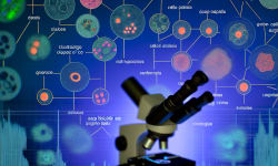 CellScope: Revolutionizing Single-Cell Analysis with Tree-Structured Cellular Hierarchies