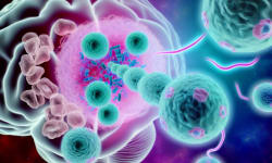 Alzheimer’s Protein Amyloid Beta May Hold the Secret to Boosting Cancer Immunity