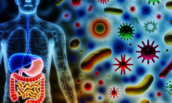 Scientists Unveil 134 Newly Discovered Gut Viruses, Paving the Way for Medical Breakthroughs