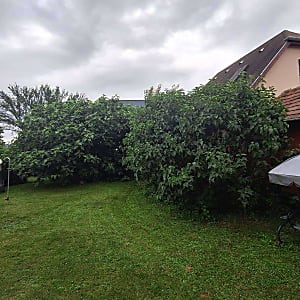 Kiadó házrész Törökbálinton #10