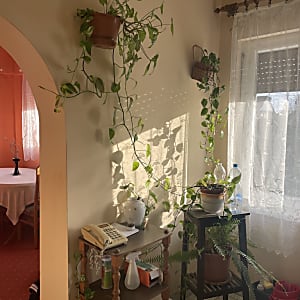 Érden önálló családi ház eladó #11