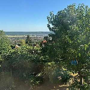 Panorámás családi ház Frankhegyen vezetékes vízzel #9