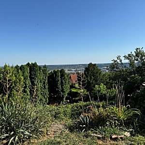 Panorámás családi ház Frankhegyen vezetékes vízzel #10