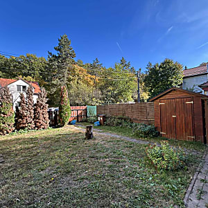 Erdő melletti Önálló ház #6