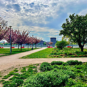 Budapest IX. kerületben, a Bakáts utcában tágas nagypolgári lakás eladó #11