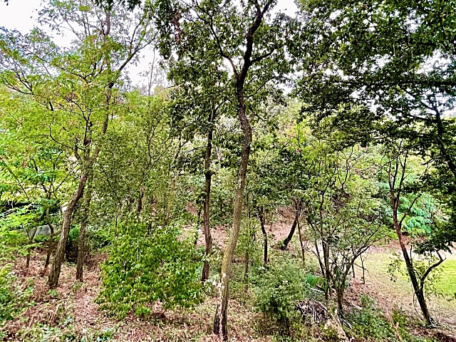 Érdligeten csodálatos fekvésű panorámás telek eladó #2