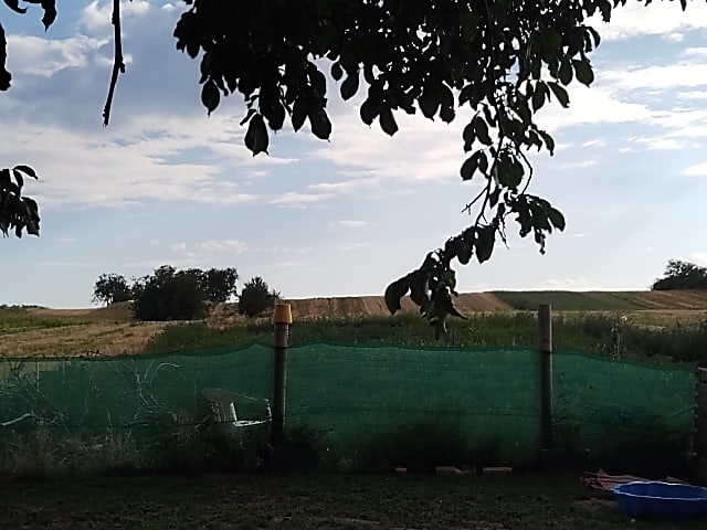 Előszállásáson családi ház + birtok eladó! #23