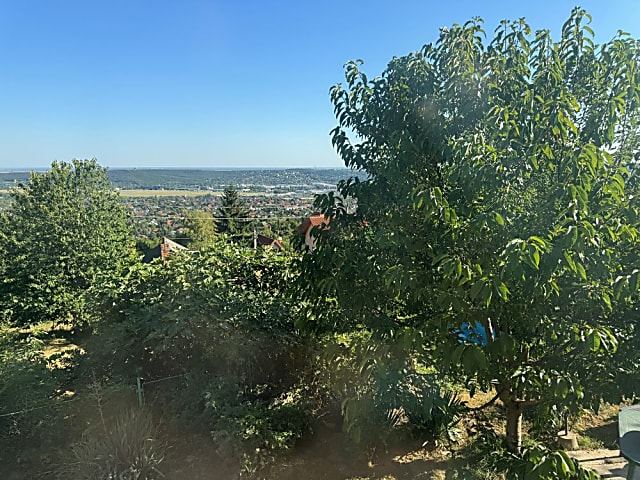 Panorámás családi ház Frankhegyen vezetékes vízzel #9