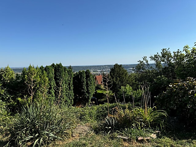 Panorámás családi ház Frankhegyen vezetékes vízzel #10