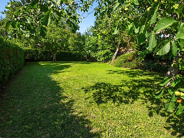 Madárhegyi Luxuslakás ELADÓ #7