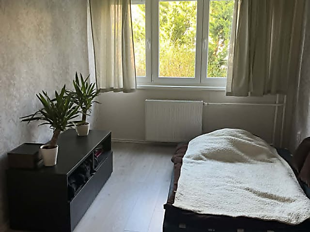 Fiatalos, teraszos lakás eladó a II. kerület kedvelt részén, a Búzavirág utcában #1