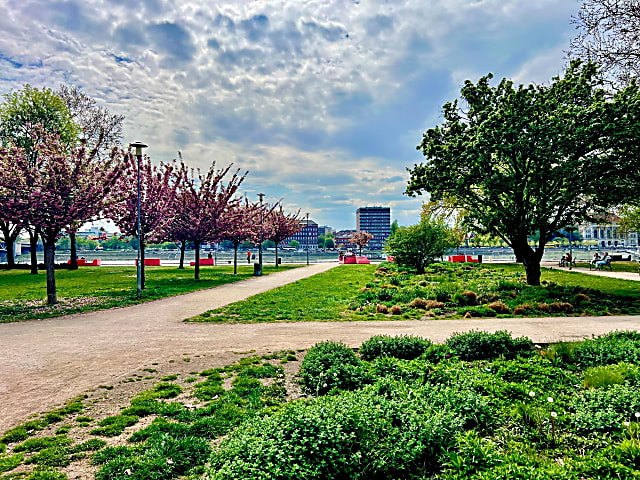 Budapest IX. kerületben, a Bakáts utcában tágas nagypolgári lakás eladó #11