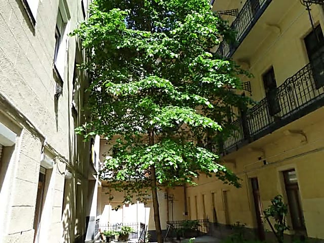 Kiadó lakás a IX. kerület szívében #2