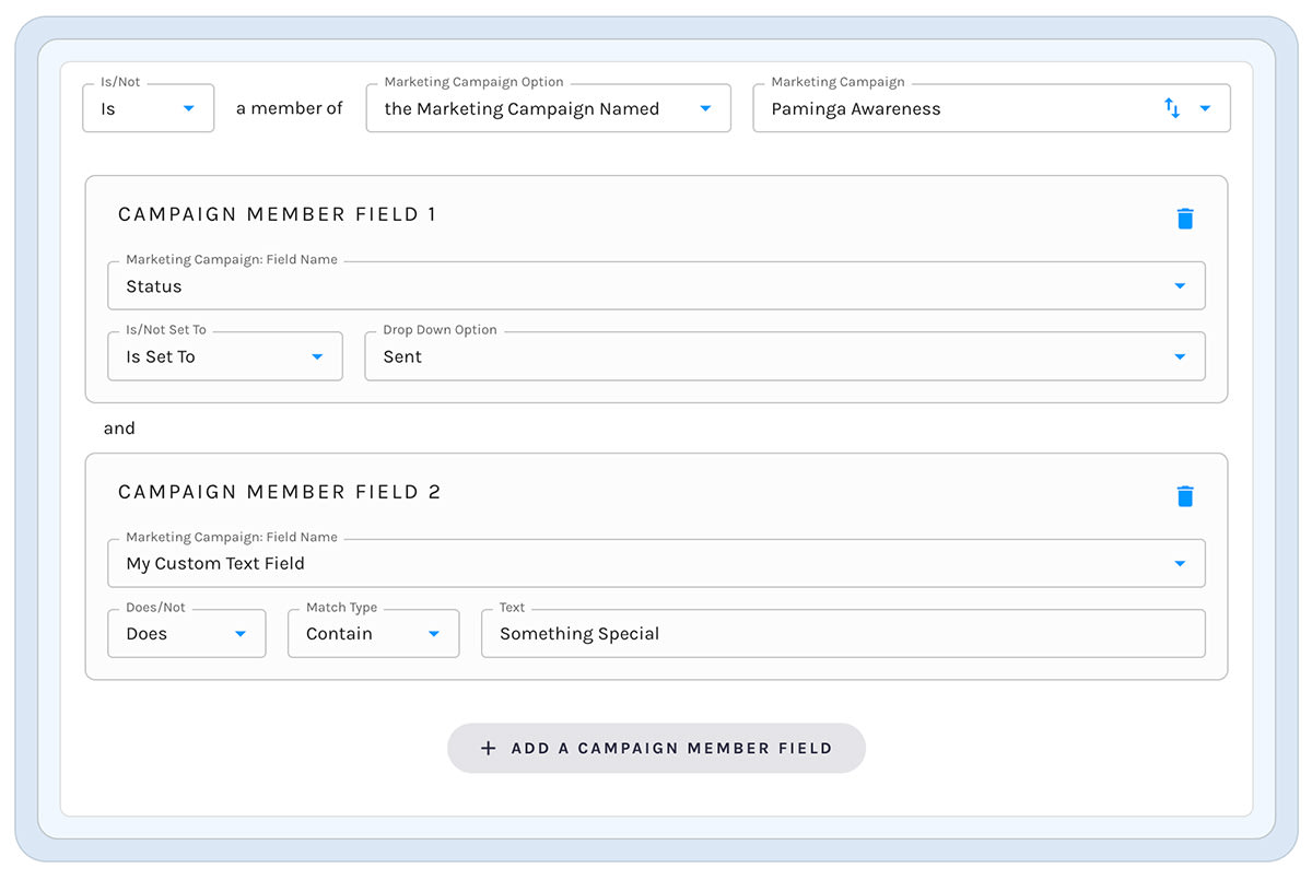 Paminga – Segment on Marketing Campaign Membership + Fields