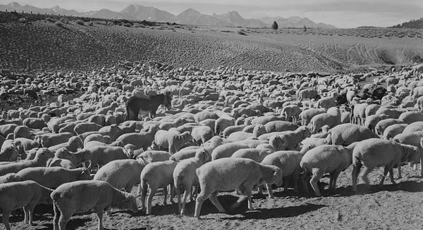 Why Agencies Need to Choose Marketing Automation For Their Clients