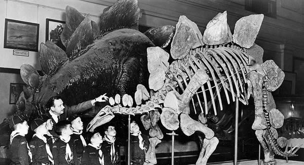 Press Releases are Dead. (But Google Didn’t Kill Them, You Did).